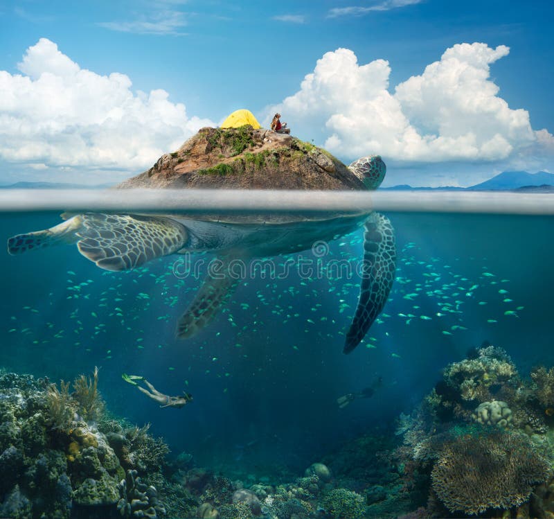 Ð¡oncept of travel and adventure, above and under water.